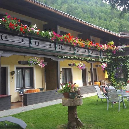 Alpen-Appartementhof Bad Hofgastein Zewnętrze zdjęcie